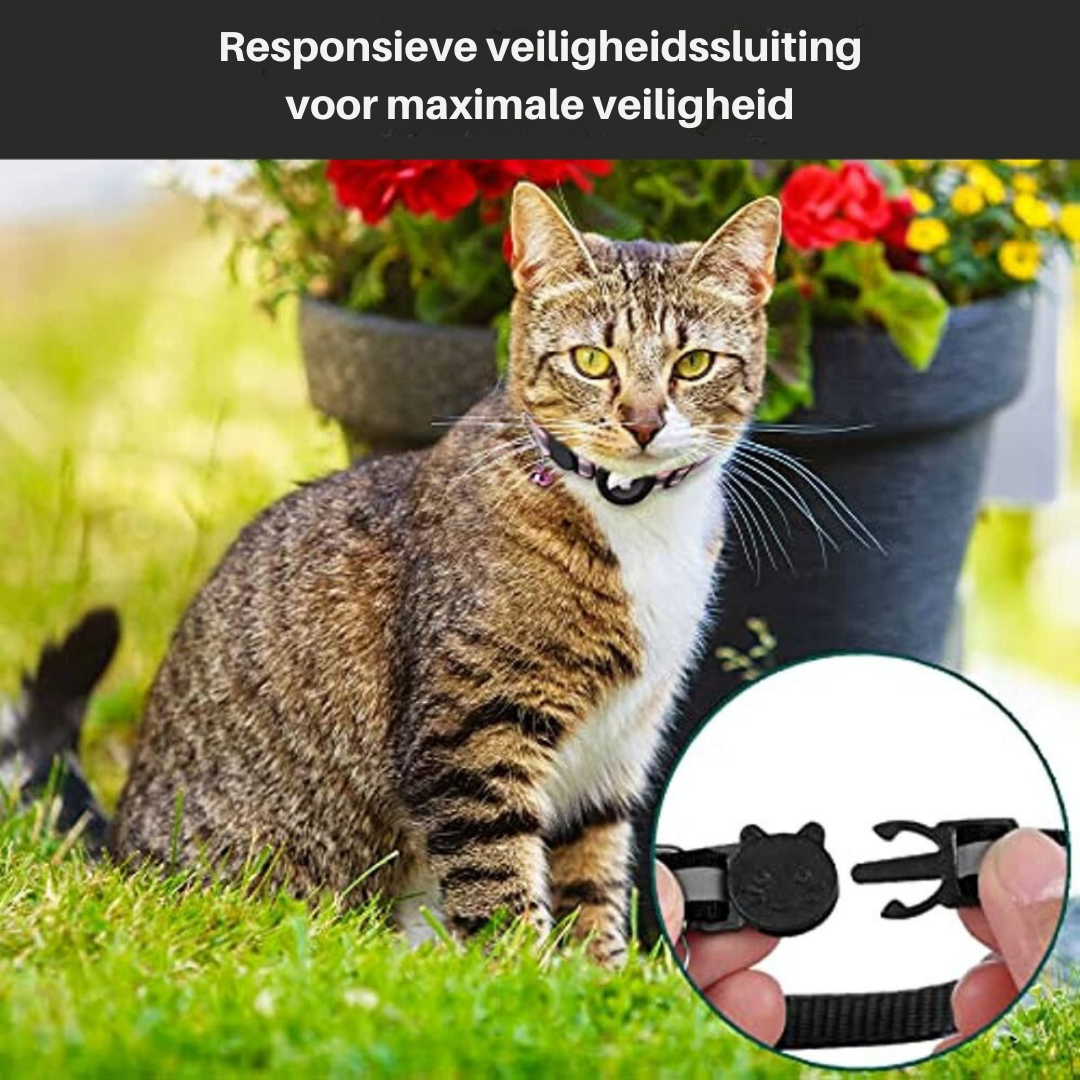 Collier GPS pour Chat avec Design Réfléchissant 4
