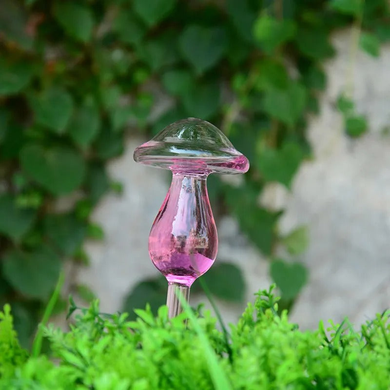 Plante d'intérieur auto-arrosage en verre