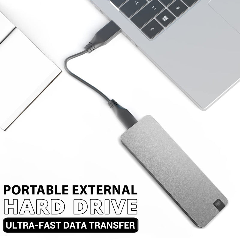 Disque Dur Externe SSD 1 To Argent Compact Portable-1