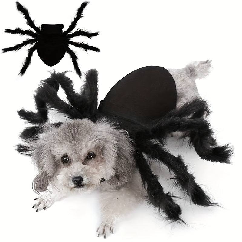 Costume pour Chien Thème Halloween Araignée 0