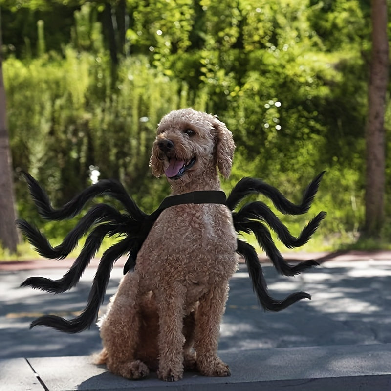 Costume pour Chien Thème Halloween Araignée 1