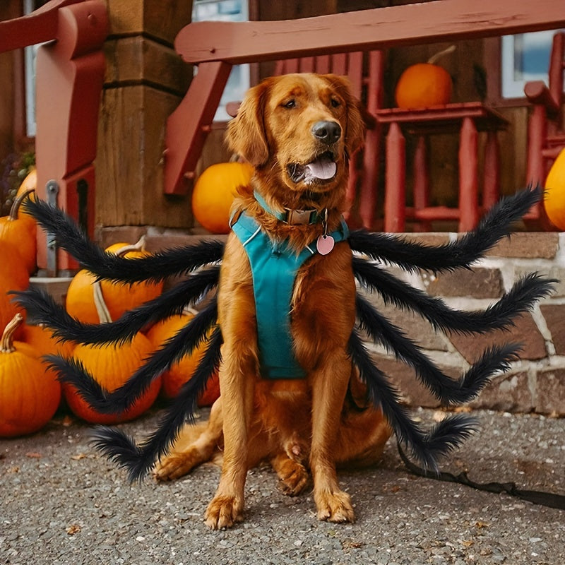 Costume pour Chien Thème Halloween Araignée 2