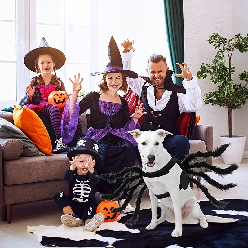 Costume pour Chien Thème Halloween Araignée 3