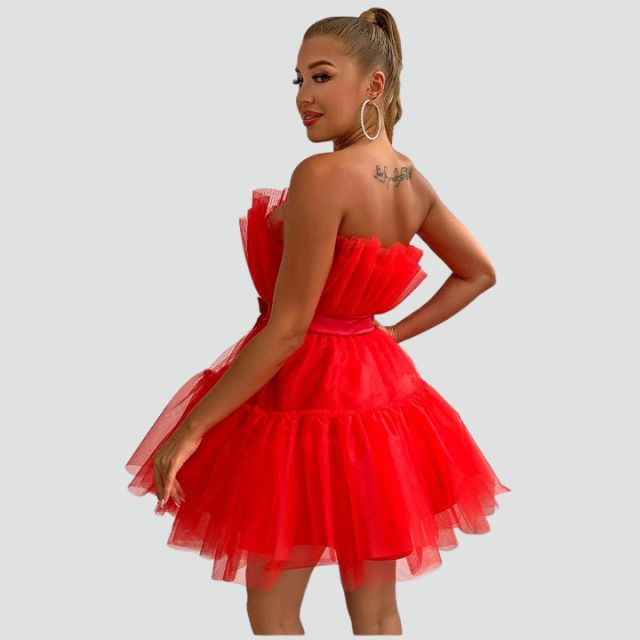 Robe Bustier Tulle Superposée 5